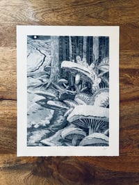 Image 1 of Ghosts of the Forests