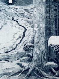 Image 2 of Ghosts of the Forests