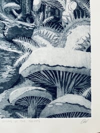 Image 3 of Ghosts of the Forests