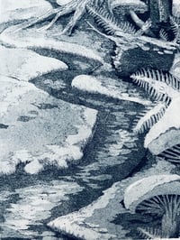 Image 4 of Ghosts of the Forests