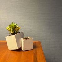 Image 5 of Square Root