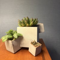 Image 3 of Square Root