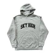 Image of SKY HIGH COLLEGIATE LOGO KIDS HOODED SWEATSHIRT HEATHER