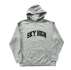 Image of SKY HIGH COLLEGIATE LOGO KIDS HOODED SWEATSHIRT HEATHER