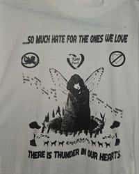 Image 2 of so much hate for the ones we love (misprint)