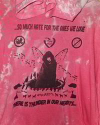 Image 2 of so much hate for the ones we love (large)