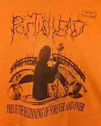 Image 2 of this is the beginning of forever and ever (large orange)