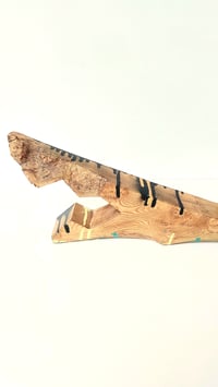 Image 4 of GNARLY GNASHER