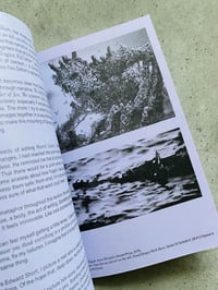 Image 5 of Chesil Cliff House and other failures, by SAM MOORE