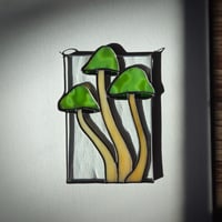 Image 1 of Mushrooms - Green Magic