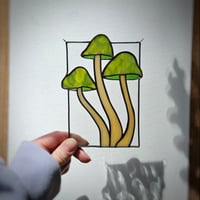 Image 2 of Mushrooms - Green Magic