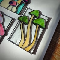 Image 4 of Mushrooms - Green Magic