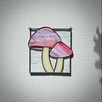 Image 3 of Mushrooms - Bubble Gum