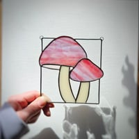 Image 2 of Mushrooms - Bubble Gum