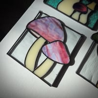 Image 5 of Mushrooms - Bubble Gum