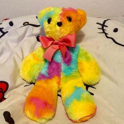 Image of The Groovy Bear