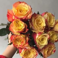 Image 1 of Pre-Order - JOKER ROSE