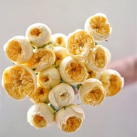 Image 1 of Pre-Order - CATALINA ROSE