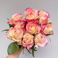 Image 1 of Pre-Order - NI CHANG ROSE