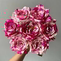 Image 1 of Pre-Order - MAURICE UTRILLO ROSE