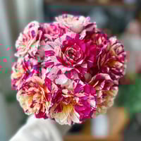 Image 2 of Pre-Order - MAURICE UTRILLO ROSE