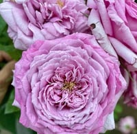 Image 3 of Pre-Order -  LE CIEL BLEU aka BLUE SKY