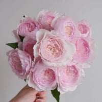 Image 4 of Pre-Order - MISAKI ROSE