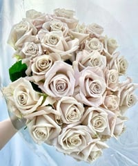 Image 4 of Pre-Order - MENTA ROSE