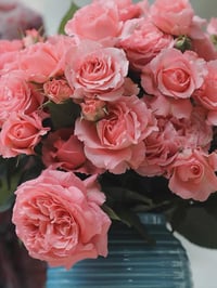 Image 4 of CORAIL GELEE ROSE