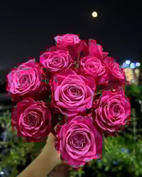 Image 4 of SUSAN ROSE