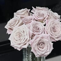 Image 5 of Pre-Order - MENTA ROSE