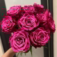 Image 5 of SUSAN ROSE