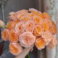 Image 5 of MICKEY BUBBLE ROSE