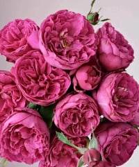 Image 6 of YVES JARDIN PARFUME ROSE