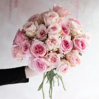 Image 8 of Pre-Order - MIRANDA (Ausimmon)