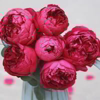 Image 1 of Pre-Order - AUTUMN ROUGE ROSE