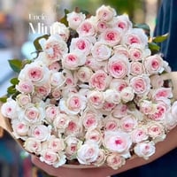 Image 6 of TRANQUILITY ROSE