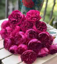 Image 5 of Pre-Order - AUTUMN ROUGE ROSE