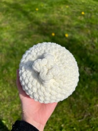 Image 3 of BAO