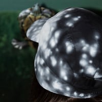 Image 5 of sun through trees - trapper cap