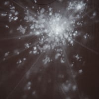 Image 2 of sun through trees #2 - M