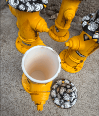 Image 2 of *LAST TWO Stash Fire Hydrant 