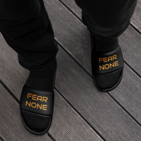 Image 2 of FEAR NONE SLIDES