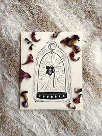 Image 4 of Clocheted