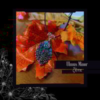 Image 2 of ☽ Ulmus Minor ☾