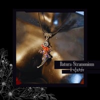 Image 2 of ☽ Datura Stramonium ☾