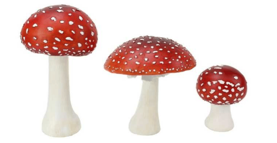 Image of Mushroom - Red
