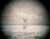 Image 14 of Seas Without A Shore Limited Edition with Slipcase