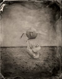 Image 10 of Seas Without A Shore Limited Edition with Slipcase