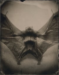 Image 17 of Seas Without A Shore